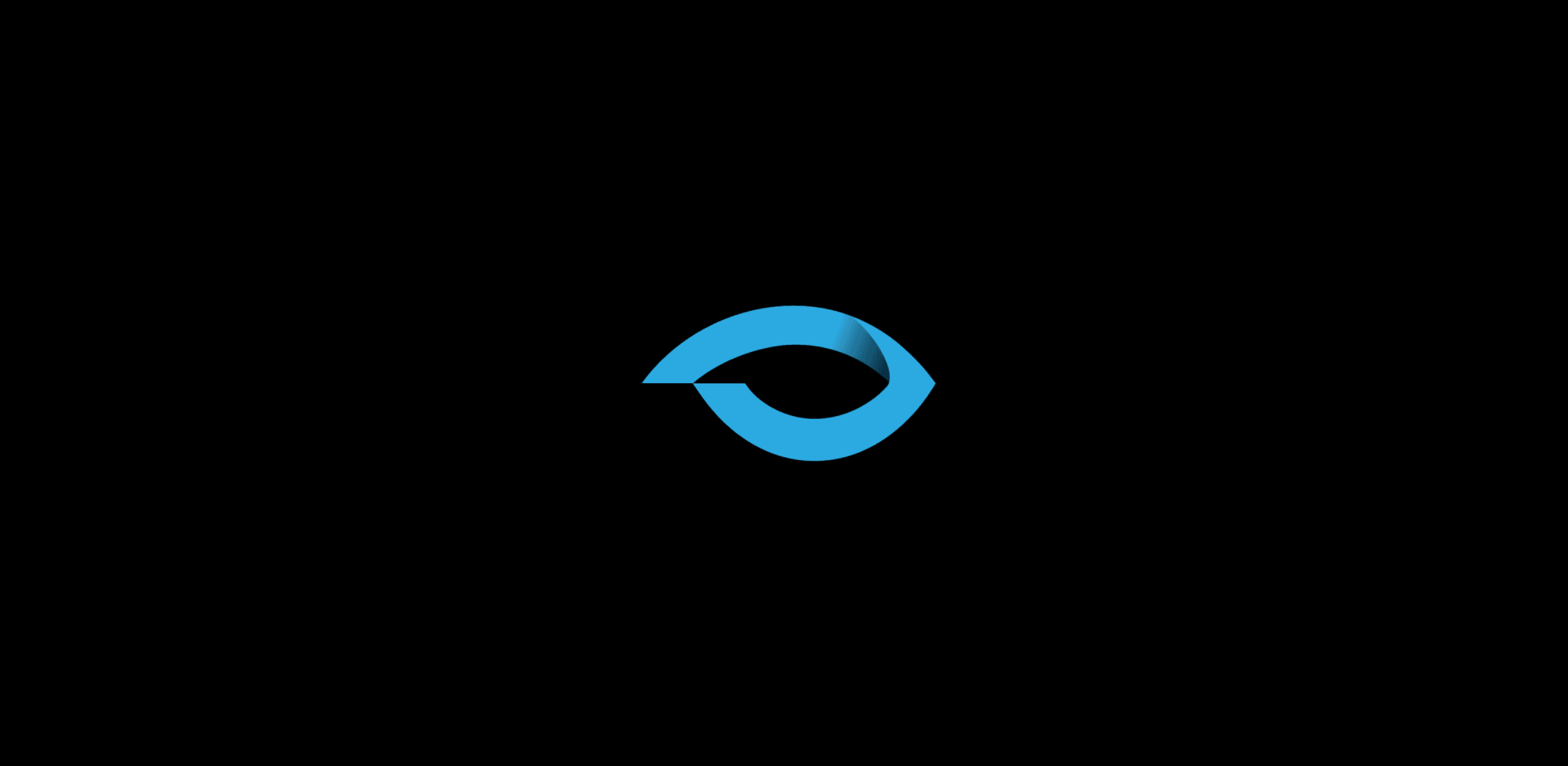 Virtual Eye